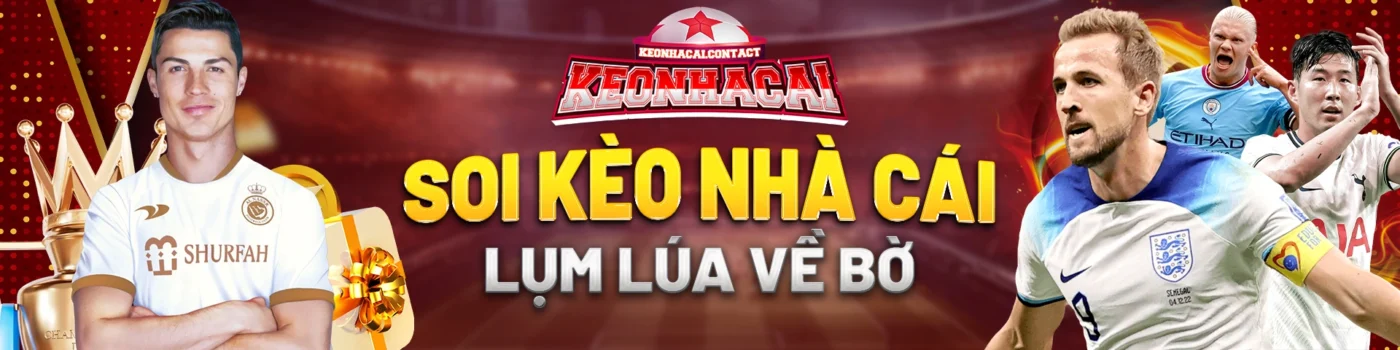 soi kèo nhà cái lụm lúa về bờ